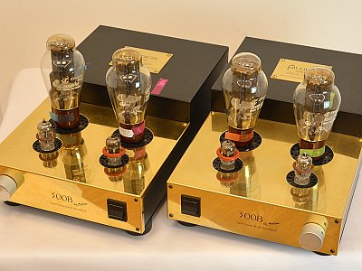 Audion 300b Silver Night Audion Preamplifiers For Sale On Hi Fi Di