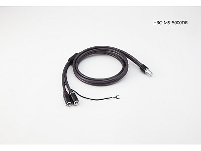 Ikeda  IKEDA HBC-MS-5000-DR DIN-RCA 1 M