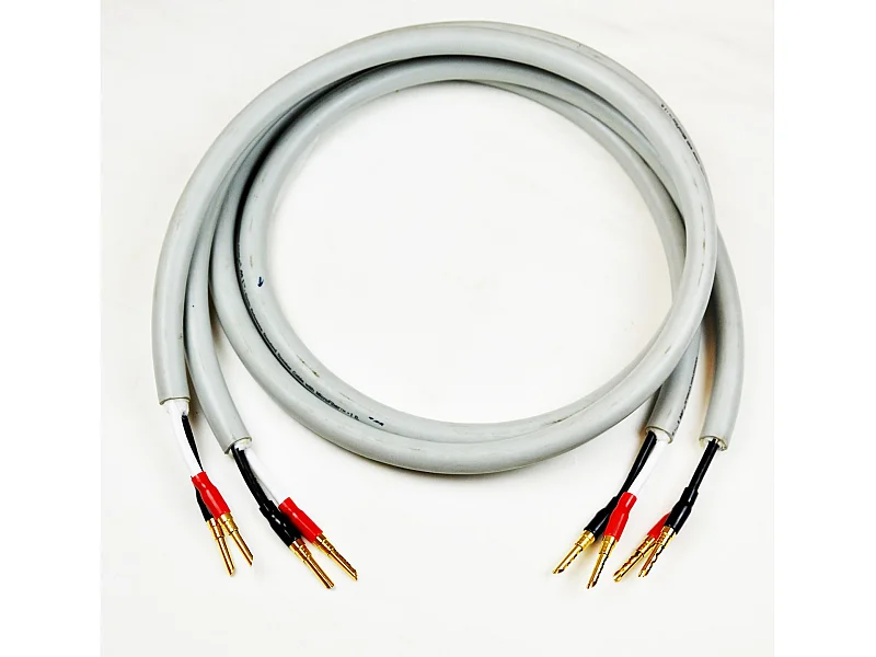 Monster Cable MONSTER CABLE 1.5 MT. (L+R)